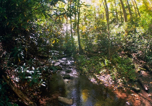 Great Smoky Mountains in the Fall